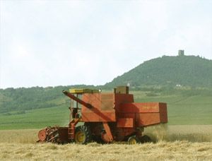 Hrdiny seriálu Plechová kavalerie jsou kombajnisté | Foto: Aktuálně.cz