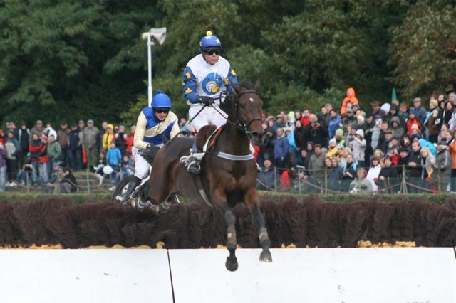 Koně ve 122. Velké pardubické | Foto: Václav Volf / fotovolf.com