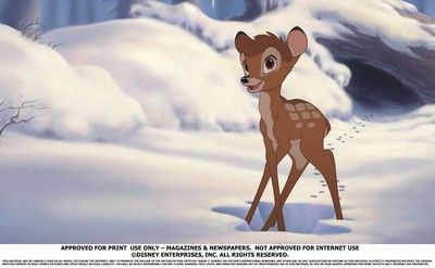 Bambi 2 | Foto: Falcon