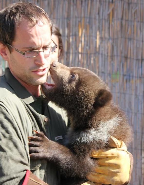 Každý z nich vážil na konci dubna 10 kilo. | Foto: Zoo Brno