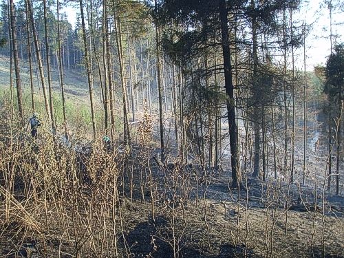 Hasiči oheň likvidovali celou noc z neděle na pondělí. | Foto: HZS Moravskoslezského kraje