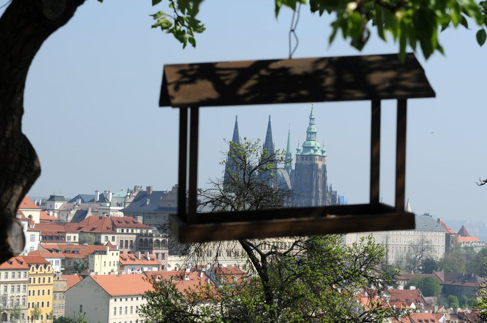 Prague 14th most expensive city in Europe for expats Aktuálně.cz