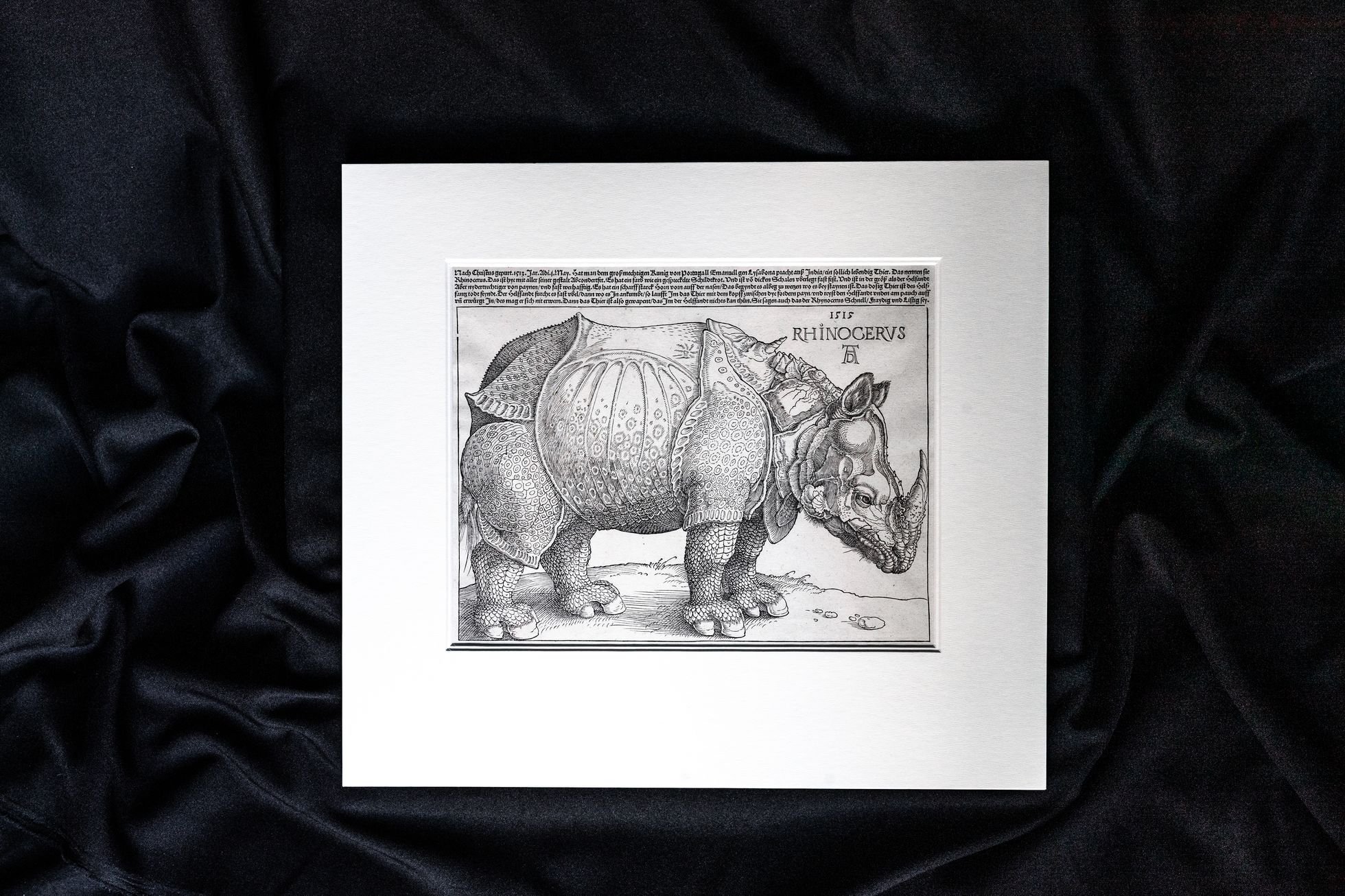 Česko má slavného Nosožorce. Akademie věd vlastní vzácný originál Dürerova dřevořezu