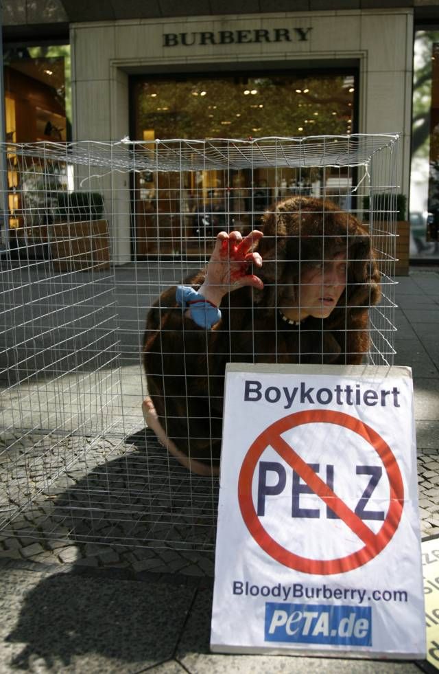 Jeden z protestů organizace PETA (People For The Rights of Animals): Aktivistka v kleci protestuje proti kožené módě před obchodem na berlínském boulevardu. | Foto: Reuters