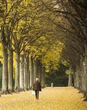 Park ve švýcarském Lausanne. | Foto: Reuters