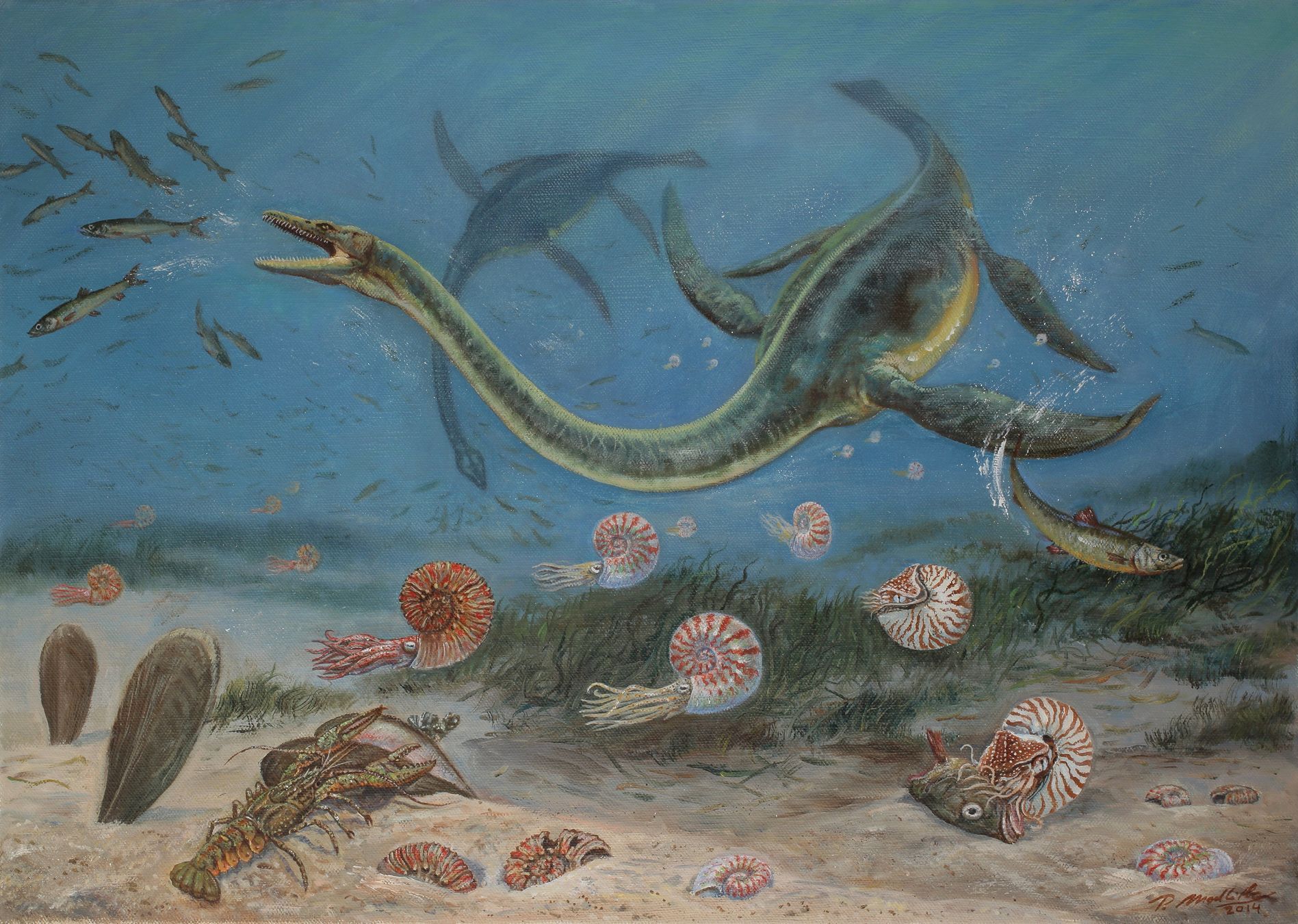 Древний океан 5 букв. Мезозойская Эра плезиозавры. Зденек Буриан Ихтиозавр. Меловой период мезозойской эры. Плезиозавр Эра и период.