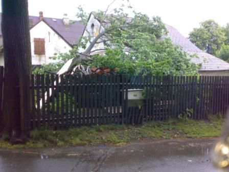 Vyvrácený strom na Svitavsku. | Foto: Libor Matouš - HZS Pardubického kraje