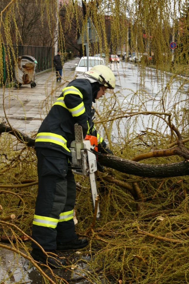 Hasiči likvidují spadlý strom | Foto: HZSÚK