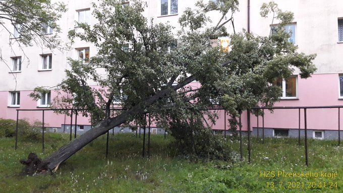 Hasičské jednotky zasahovali nejčastěji u spadaných a vyvrácených stromů. | Foto: HZS Plzeňského kraje