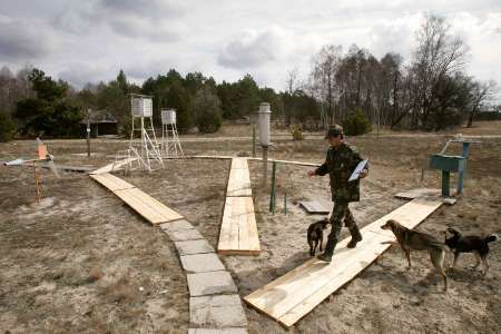 Půda je v okolí Černobylu kontaminovaná na řadu let. | Foto: Reuters