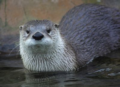 Foto: Vanda Králová, Zoo Praha