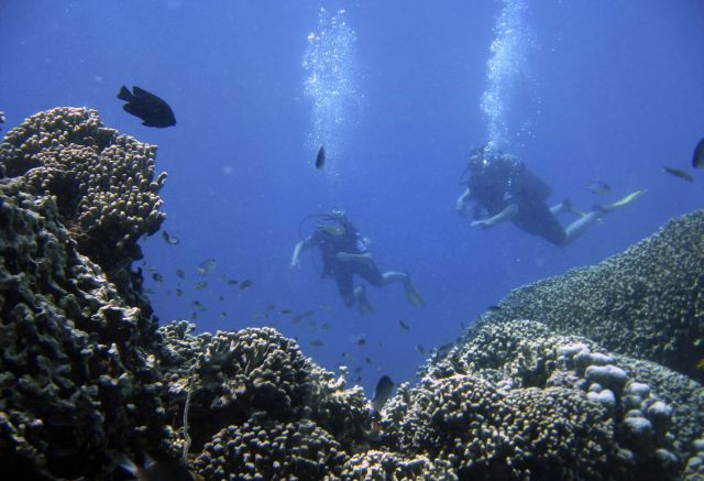 Potápěči u korálů poblíž ostrova Zanzibar v Indickém oceánu. | Foto: Reuters