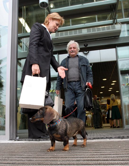 Se svojí jezevčicí Lojzičkou | Foto: Aktuálně.cz, Ondřej Besperát