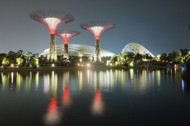 V Singapuru ve čtvrti Marina Bay 29. června 2012 oficiálně otevřeli futuristický koncept vertikálních zahrad. Už z dálky to byla to velmi impresivní podívaná. | Foto: ČTK