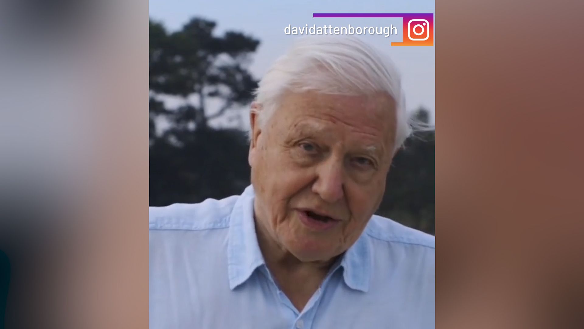 Attenborough naturalist founded Instagram, gaining a million fans in a few hours