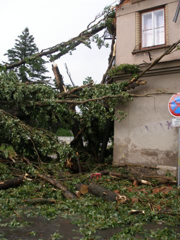 Pád topolu na kočárek s malým dítětem | Foto: HZSHK