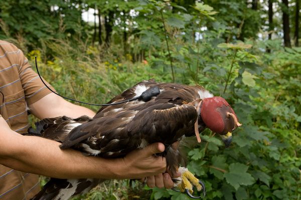 Evženovi už konečně drží vysílačka tak jak má. | Foto: Petr Sznapka