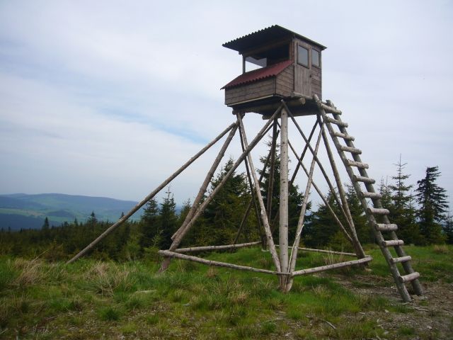 Krásný výhled na zvěř, stačí jen pevná muška a... | Foto: Pavel Baroch, Aktuálně.cz