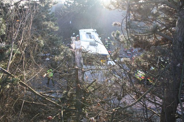 Jedna šestnáctiletá dívka zemřela, 18 zraněných bylo ošetřeno ambulantně, 22 zůstalo v nemocnici. | Foto: HZS Plzeňského kraje