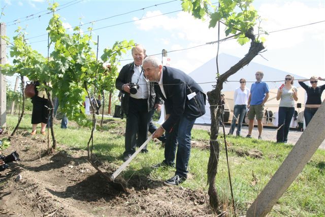 Marek Eben byl první, kdo si mohl okopat "svoji" hlavu. Stejně jako další patroni může na satelitních mapách sledovat, jak se jeho keři daří. | Foto: Tomáš Fránek