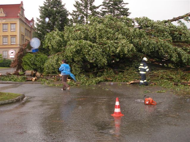 Pád topolu na kočárek s malým dítětem | Foto: HZSHK