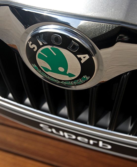 Škoda Superb - plastové logo automobilky na přídi vozu. | Foto: Tomáš Adamec, Aktuálně.cz