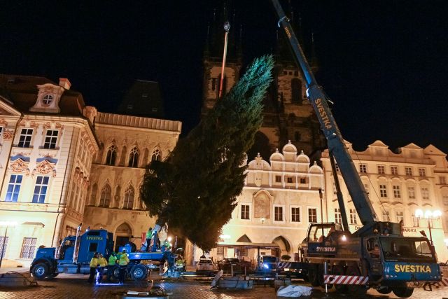 Strom na Staroměstském náměstí. | Foto: ČTK