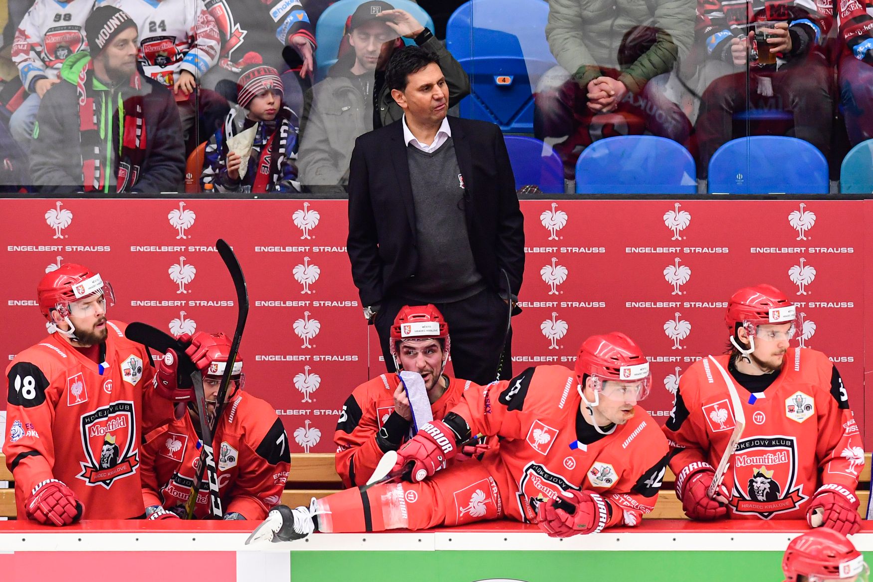 Růžička became the coach of the hockey players of the first league Kadaň