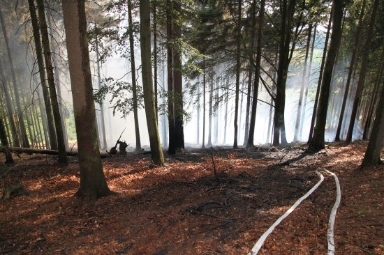 Foto: stanice Rychnov nad Kněžnou