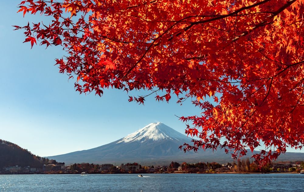 Fuji without a snow cap, the longest in 130 years. The weatherman mentioned the culprit