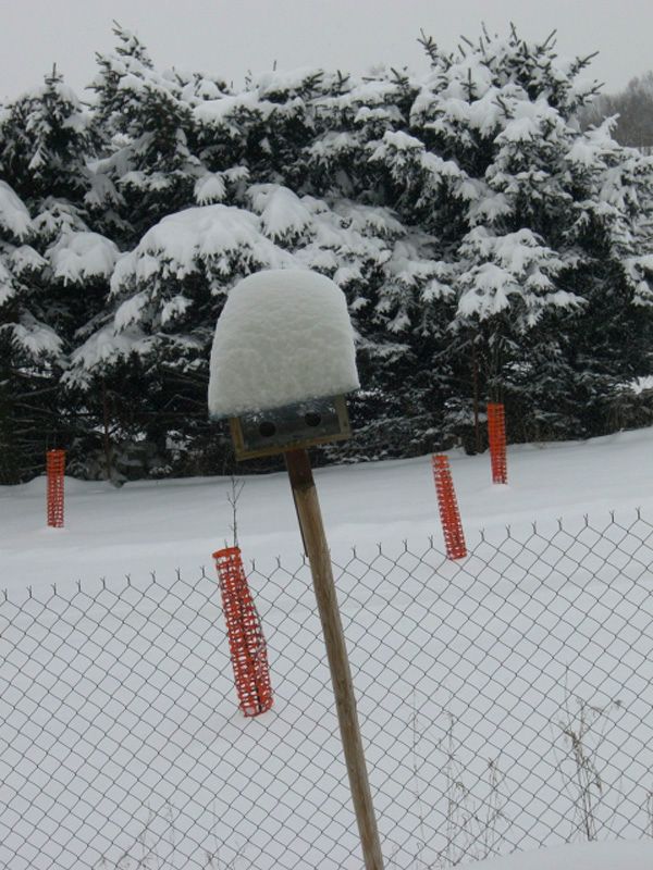 ...padá a padá..no není to nádhera? | Foto: Aktuálně.cz