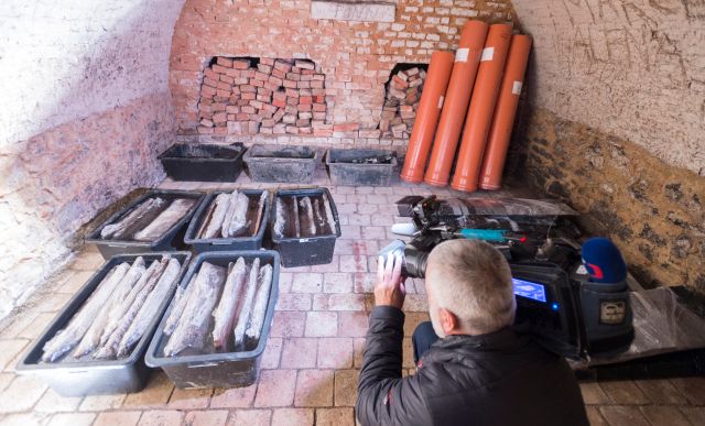 Zbytky dřevěné studny u Ostrova v Pardubickém kraji, ta je nejstarší pravěká dřevěná struktura na světě. | Foto: ČTK