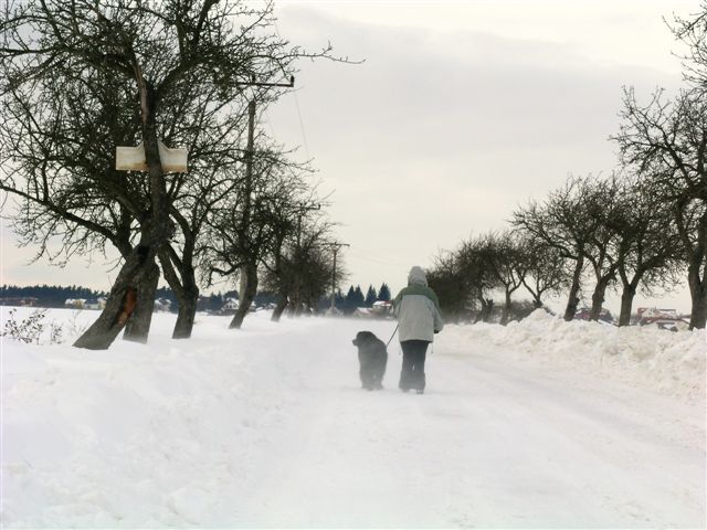 Ladova zima fotoaparátem čtenáře Aktuálně.cz v Klínci u Prahy, 2.února 2010. | Foto: J. Felix K.