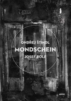 Obálka dystopického románu Mondschein | Foto: Aktuálně.cz