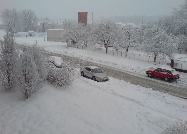 Týniště nad Orlicí | Foto: Aktuálně.cz