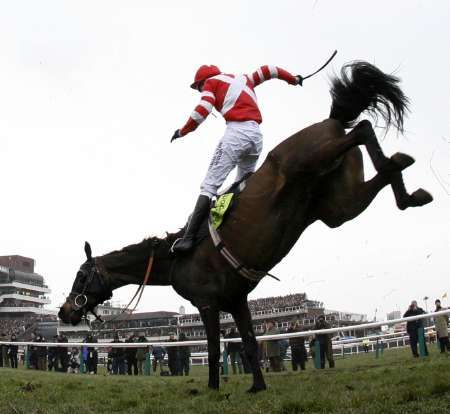 Jezdec Joe Tizzard na koni Cornish Rebel při dopadu na Totesport Cheltenham Gold Cup v anglickém Gloucestershire. | Foto: Aktuálně.cz