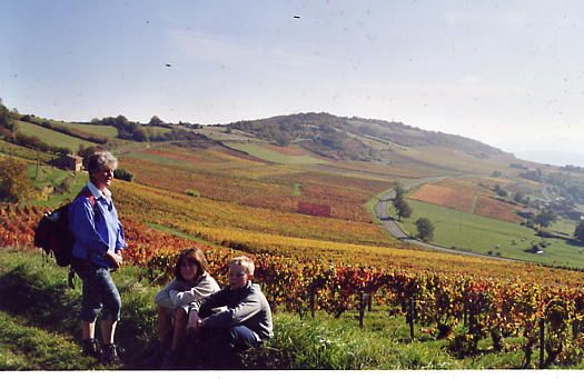 Podle zlých jazyků je Beaujolais Nouveau pouze "velebený hroznový džus", podle jiných skvělé víno. Jisté je, že se jako jedno z mála pije výhradně ve stejném roce, v němž bylo sklizeno. Řadí se totiž k tzv. primeur, u nichž francouzská vláda povolila prodej před 15. prosincem, kdy mohou jít do prodeje vína z poslední sklizně určená k uchovávání. Prodej Beaujolais Nouveau byl v zemi galského kohouta povolen v roce 1951. Letos si ho tak mohou milovníci vína vychutnat už po šedesáté. . | Foto: erho.free.fr