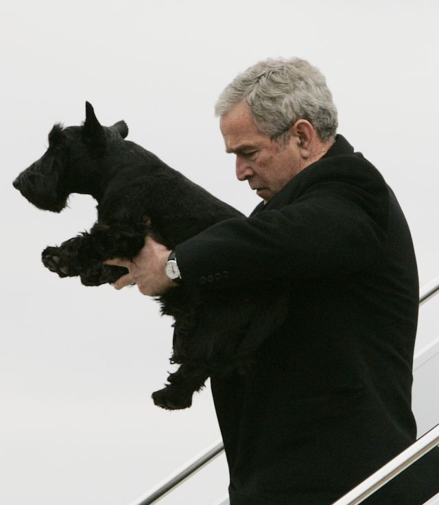 A toto je předchůdce Boa v Bílém domě, pes George Bushe mladšího Barney. Americký prezident ho vynáší z letadla Air Force One. | Foto: Reuters