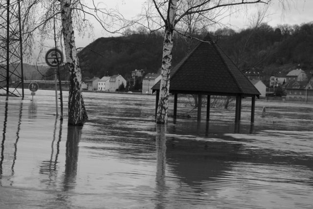 Pohled na řeku ve Svádově u Ústí nad Labem. | Foto: Vojtěch Borkovec