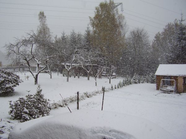 "Sněžit začalo ve středu,kdy nám napadl i první poprašek letošní zimy, včera už to byly 2 až 4 cm sněhu, které se udržely po celý den při teplotách od -3 do +1 stupně. Dnes opět něco připadlo, takže tu máme celkem 5 centimetrů sněhu. To je ne začátek listopadu dost vyjímečné, zvlášť když se sníh a mráz drží po několik dní," řekl Aktuálně.cz amatérský meteorolog Karel Hrdlička. | Foto: Karel Hrdlička