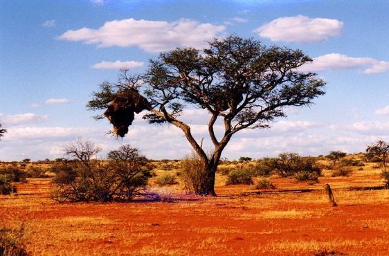 Okolí základny v Namibii. | Foto: HESS Project