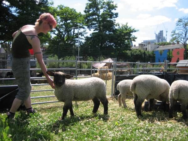 Foto: Spitalfields City Farm