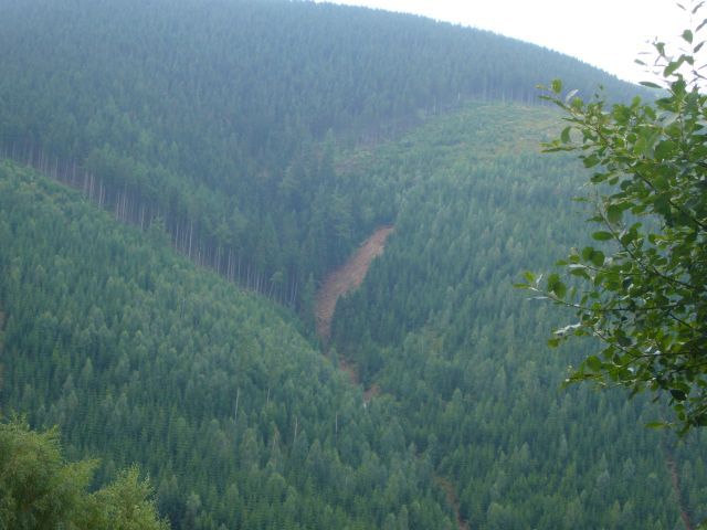 Vydatný déšť utrhl na svahu Krkonoš celý kus stráně. | Foto: Pavel Baroch