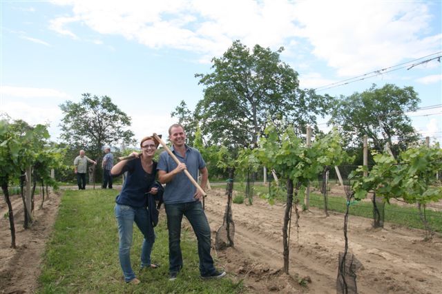 Okopat jednu hlavu je zábava, obdělat celý vinohrad je už pořádná dřina, potvrdí každý vinař. | Foto: Tomáš Fránek