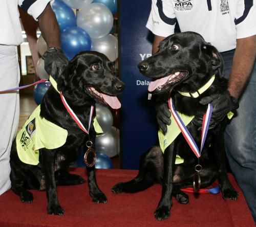 Lucky (vpravo) a Flo bezprostředně po udělení slavnostních medailí | Foto: ČTK/AP