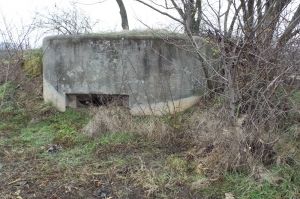 Tento řopík typu A-180 v Adolfovicích - ležící asi 800 metrů od silnice mezi Šumperkem a Jeseníkem - má minimální cenu 18 480 korun. | Foto: Ministerstvo obrany ČR