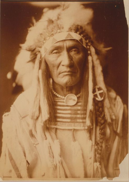 Young Hairy Wolf z kmene Vraních indiánů nebo též Absaroků. (Library of Congress, LC-USZC4-8824). | Foto: Edward S. Curtis, Library of Congress
