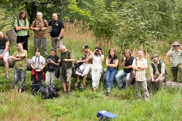 Vypouštění v létě 2008 sledovaly asi dvě desítky diváků. | Foto: Aktuálně.cz, Petr Sznapka