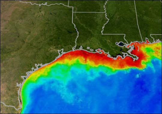 Zóna smrti v Mexickém zálivu. Oblast s malým množstvím kyslíku zabírá plochu téměř 10 000 km. | Foto: NASA