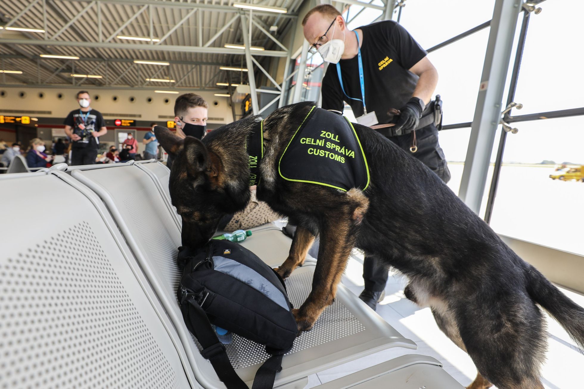 Celníci mají nově řešit daňové úniky. Nebudujme paralelní policii, varuje Stanjura